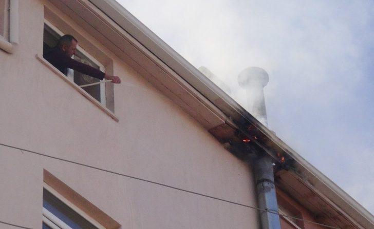 Bacadaki yangını hortumla su sıkıp söndürmeye çalıştı G1