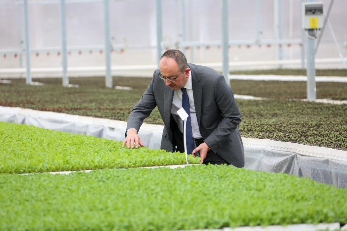 Paydaşlar &lsquo;Sebze Fidesi &Uuml;retim Tesisi&rsquo;nin geleceği i&ccedil;in buluştu