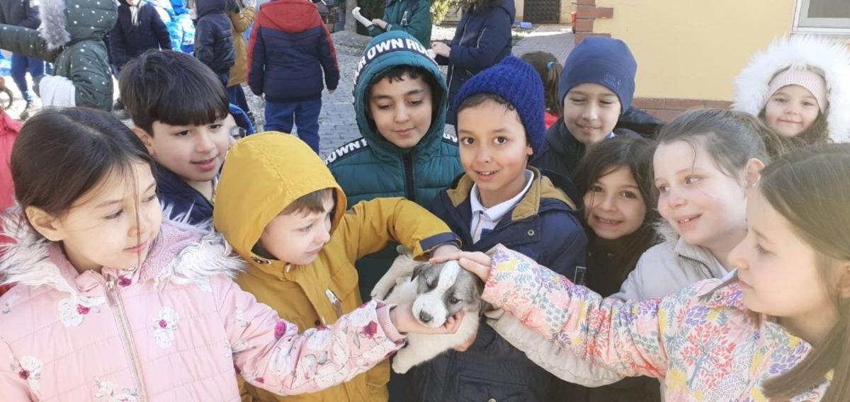 &Ccedil;ocuklar hayvan barınağını ziyaret etti