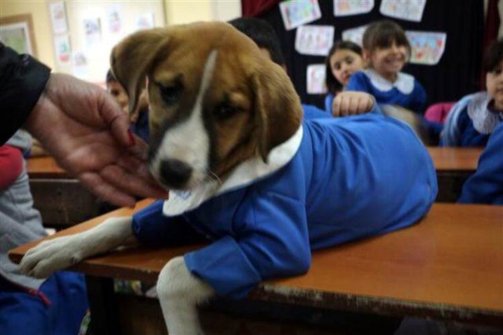 Sosyal medyada günün en çok konuşulanı olmuştu! Fındık hasta oldu G1