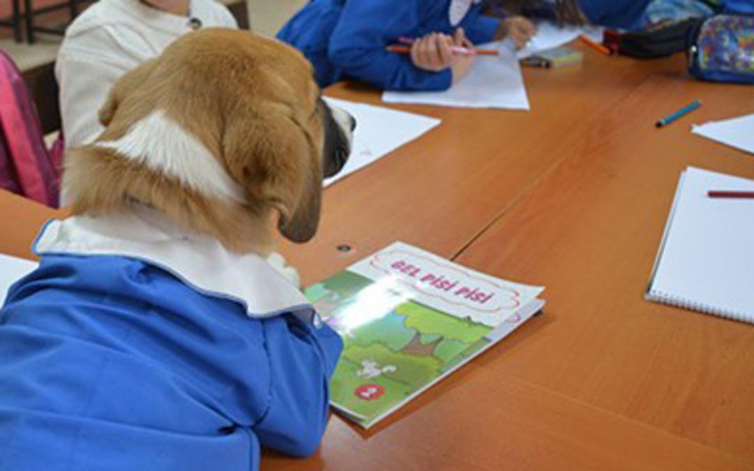 Sosyal medyada g&uuml;n&uuml;n en &ccedil;ok konuşulanı olmuştu! Fındık hasta oldu