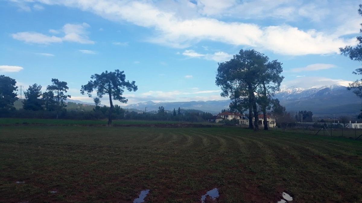 İpekb&ouml;cek&ccedil;iliği Muğla&rsquo;da hayat buluyor