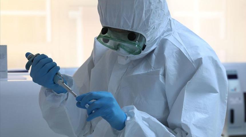 Koronavirüsün (Kovid-19) insan hücrelerine yayılmasını sağlayan proteinin yapısı çözüldü