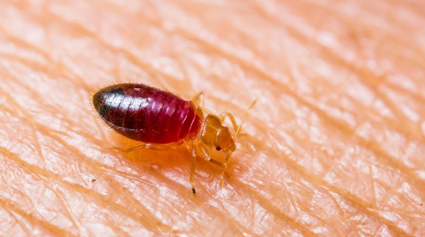 Yeni telefon hattı: Gördükleri yerde ihbar edecekler