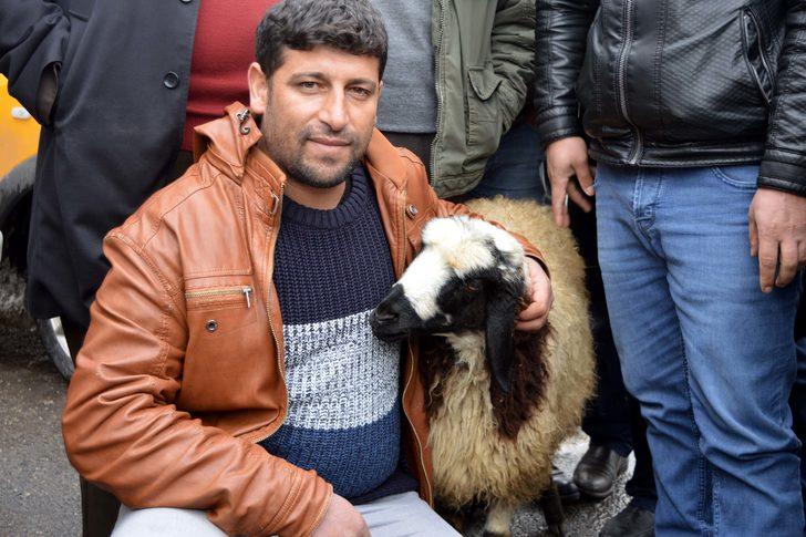 Koyunu peşini bırakmayınca, satmaktan vazgeçti G2
