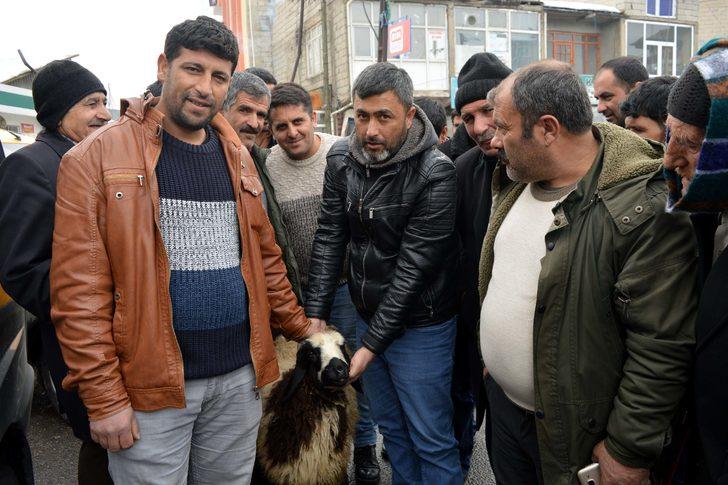 Koyunu peşini bırakmayınca, satmaktan vazgeçti G3