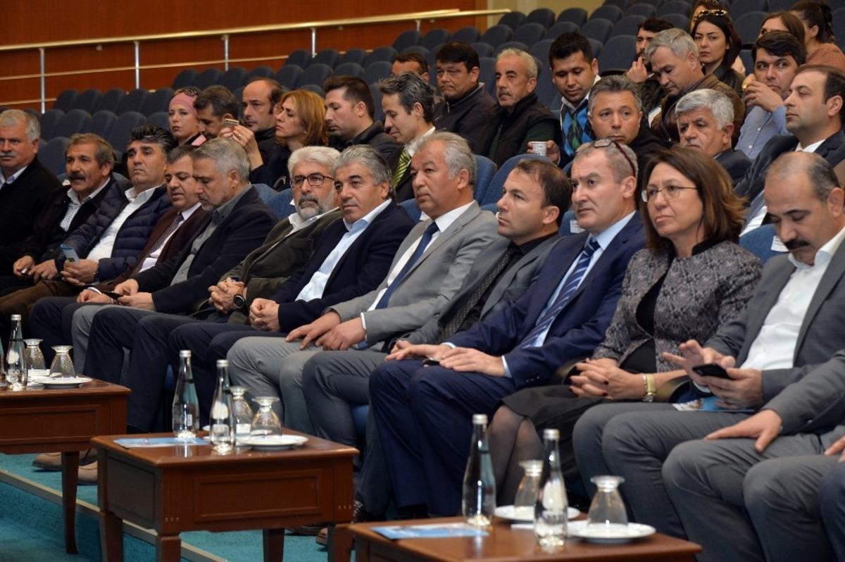 Palmiye kırmızı b&ouml;ceği ile ortak m&uuml;cadele toplantısı yapıldı
