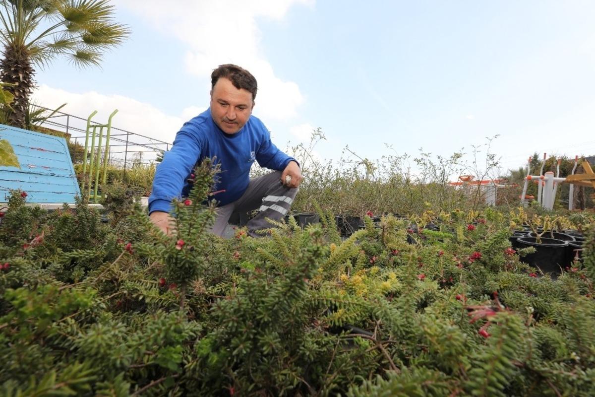 Su kaynaklarını korumak i&ccedil;in &ccedil;alı &uuml;retimi