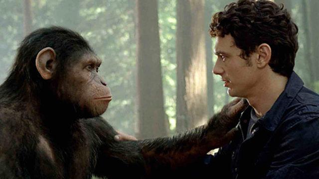 İnsanlarla maymunların savaşı