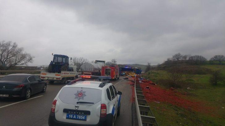 TIR devrildi, kara yolu salça tarlasına döndü G2