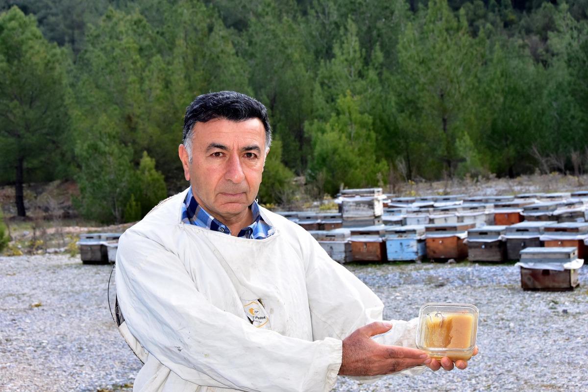 Arıcılar uyarıyor: Donmuş değil, donmamış baldan uzak durun