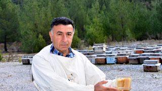 Arıcılar uyarıyor: Donmuş değil, donmamış baldan uzak durun