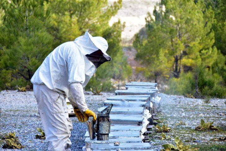 Arıcılar uyarıyor: Donmuş değil, donmamış baldan uzak durun G4