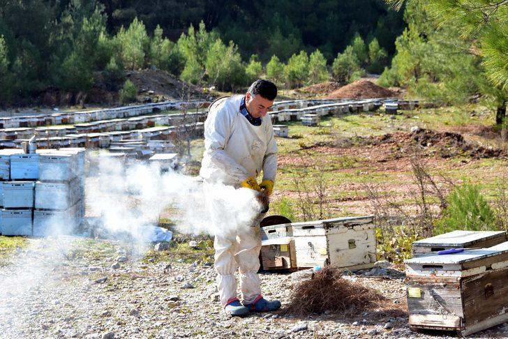 Arıcılar uyarıyor: Donmuş değil, donmamış baldan uzak durun G5