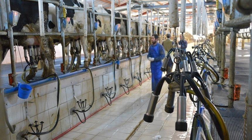 &Ccedil;iğ S&uuml;t Desteklemeleri başladı