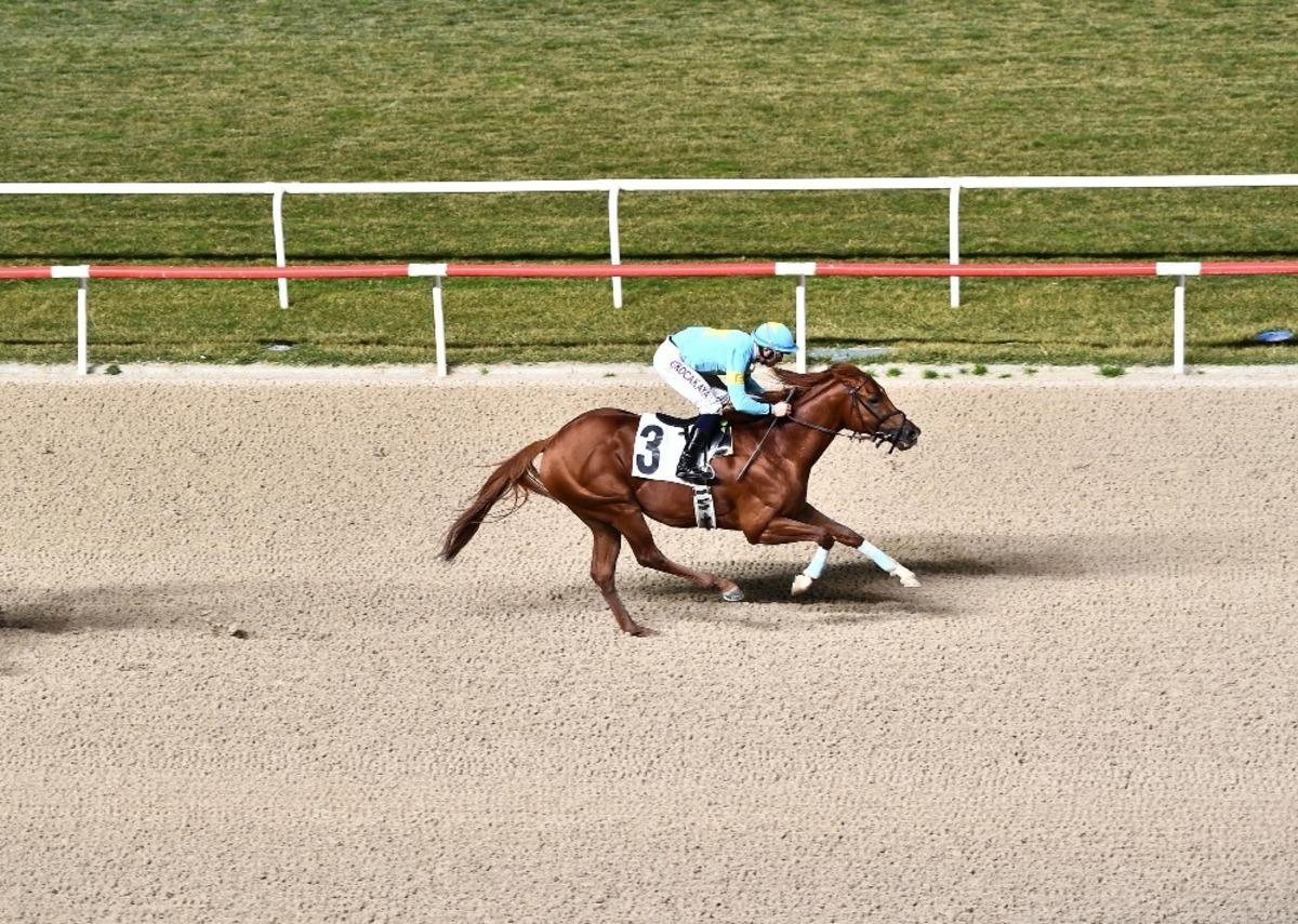 Başkanlık Kupası&rsquo;nı &ldquo;Lozan&rdquo; kazandı
