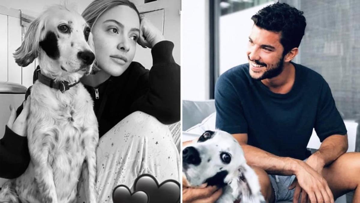 Hadise ve Kaan Yıldırım cephesinde flaş gelişme