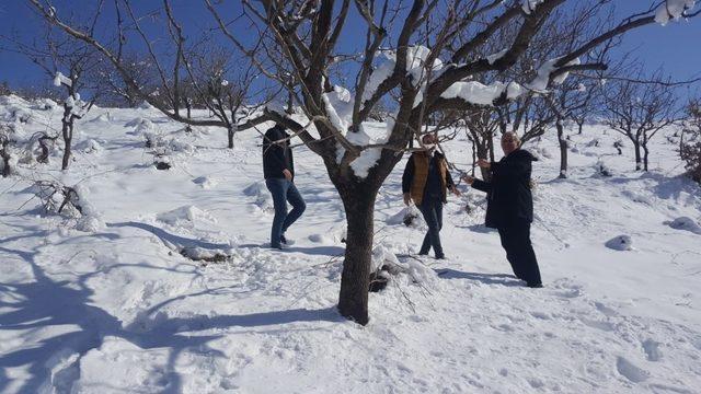 Siirt’te bağ ve bahçelerde çalışma yapıldı