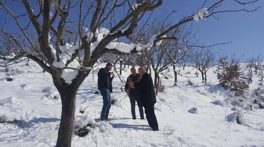 Siirt’te bağ ve bahçelerde çalışma yapıldı