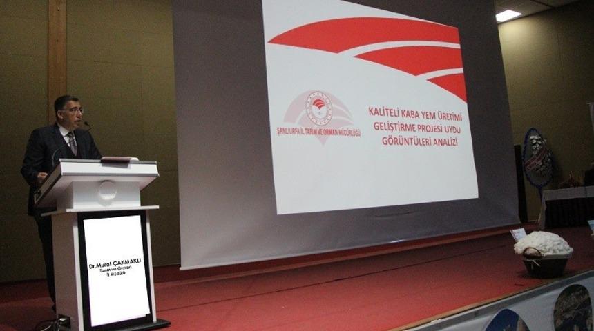 Pamukta verim d&uuml;ş&uuml;kl&uuml;ğ&uuml;n&uuml;n nedenleri tartışıldı