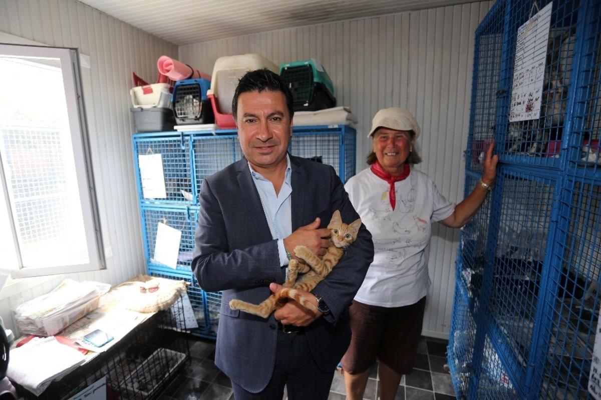 Bodrum&rsquo;daki 20 klinik 3 ay &uuml;cretsiz hizmet verecek