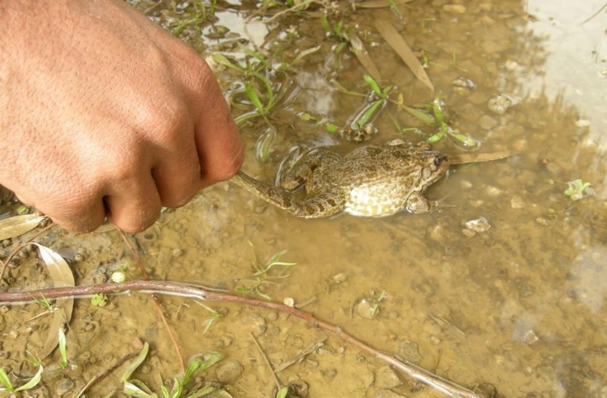 EKODOSD, S&ouml;ke İl&ccedil;e Tarım Orman M&uuml;d&uuml;r&uuml; Zeki Berhuni&rsquo;yi ziyaret etti