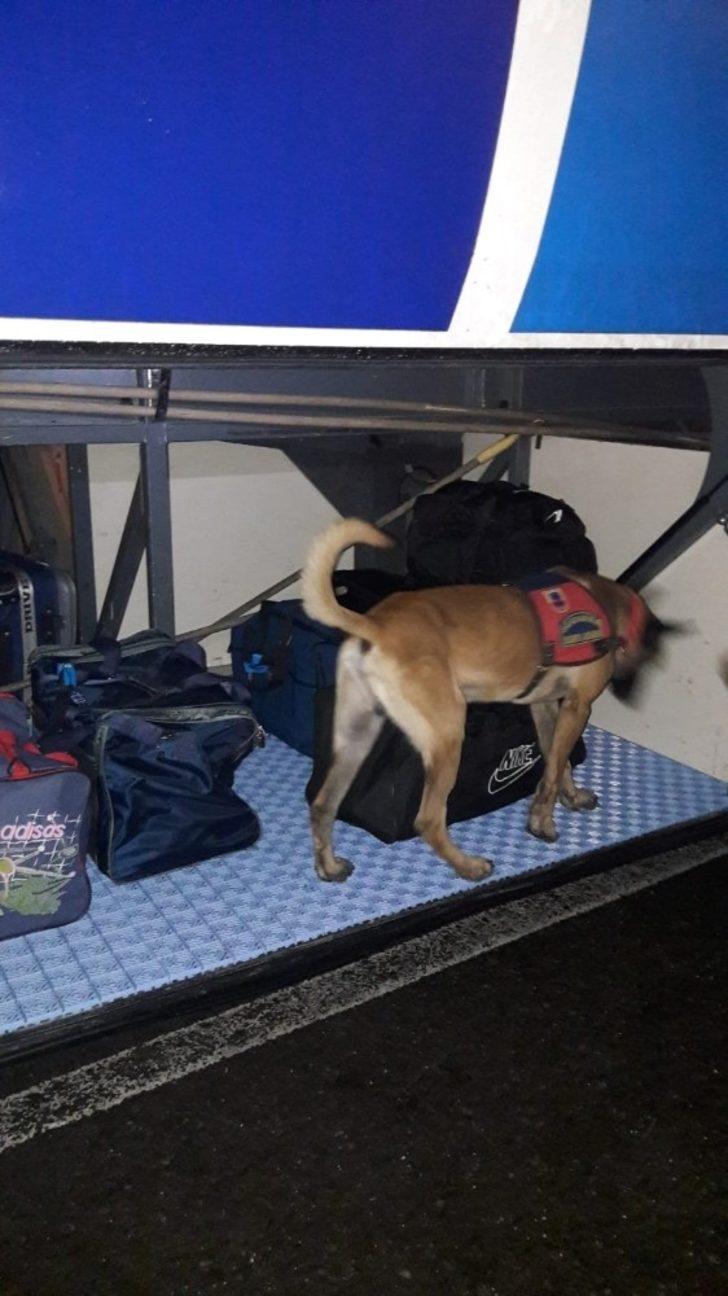 Jandarma Antalya’da 35 kişiyi yakaladı G2