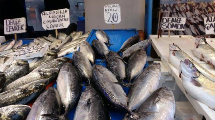 Balıkçı oyunu! Palamut diye satılan o balık bakın ne çıktı...