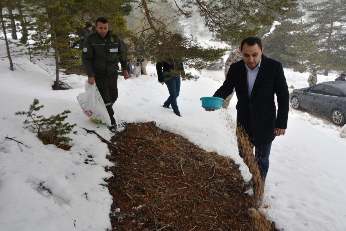 Yaban hayatı i&ccedil;in seferber oldular