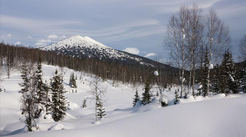 Sibirya'da Buzul &Ccedil;ağı'ndan kalma bir kuşun kalıntısı bulundu