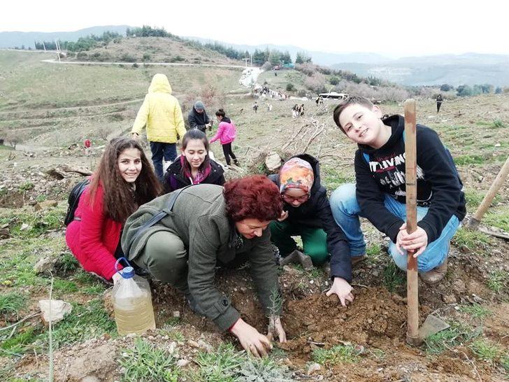 Suyu düştüğü, toprağı oluştuğu yerde tutmak için fidan diktiler G1