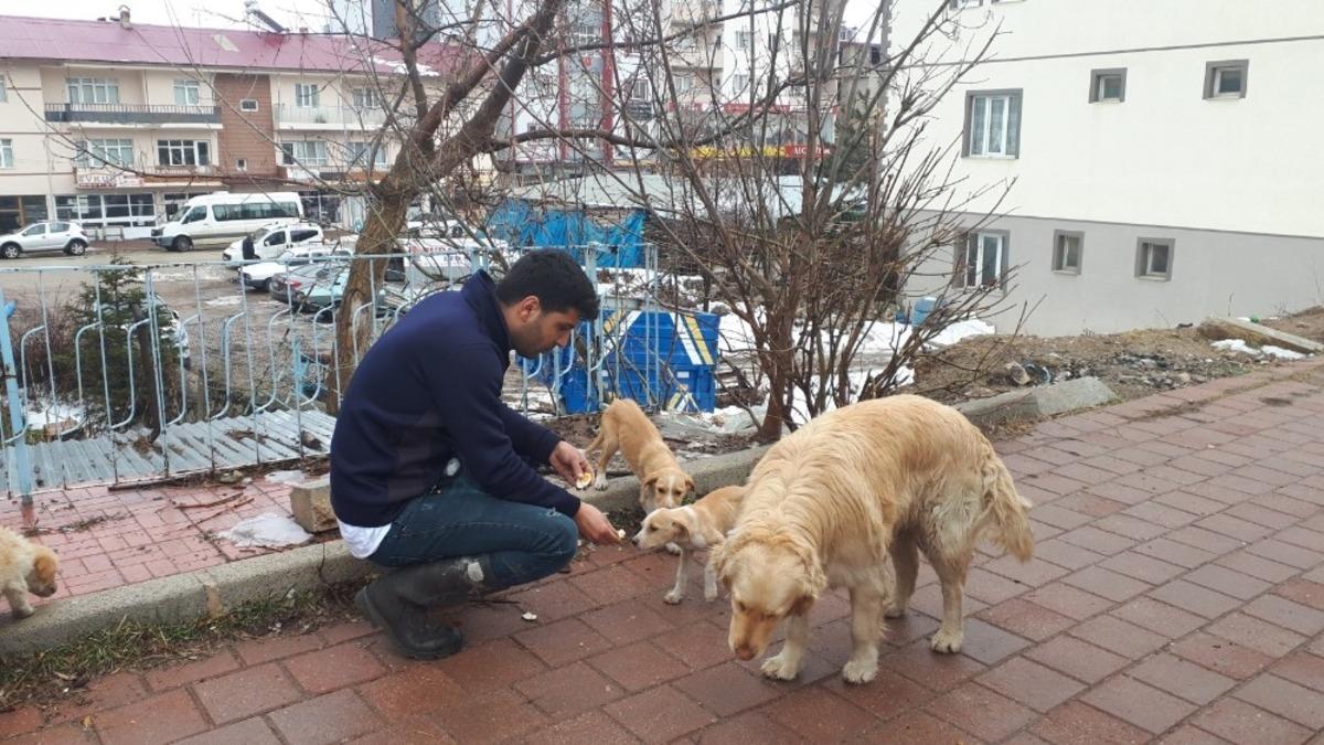 Tufanbeyli&rsquo;de sokak hayvanları i&ccedil;in seferberlik