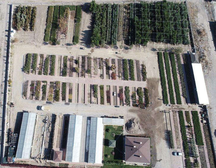 Kocasinan’da hedef 100 bin ağaç dikmek G3