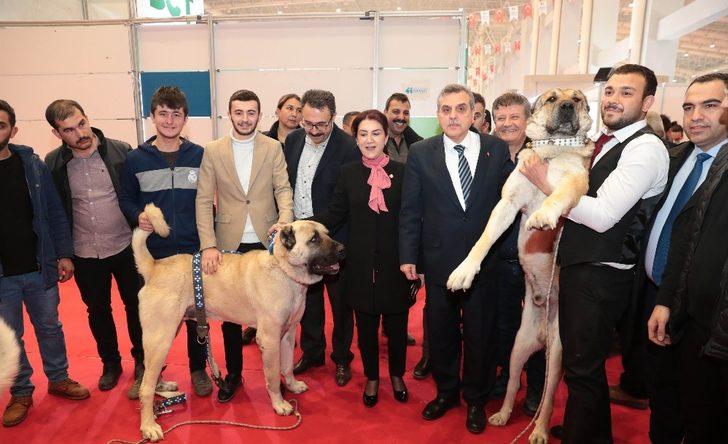 Gıda Tarım ve Havancılık Fuarına yoğun ilgi G1