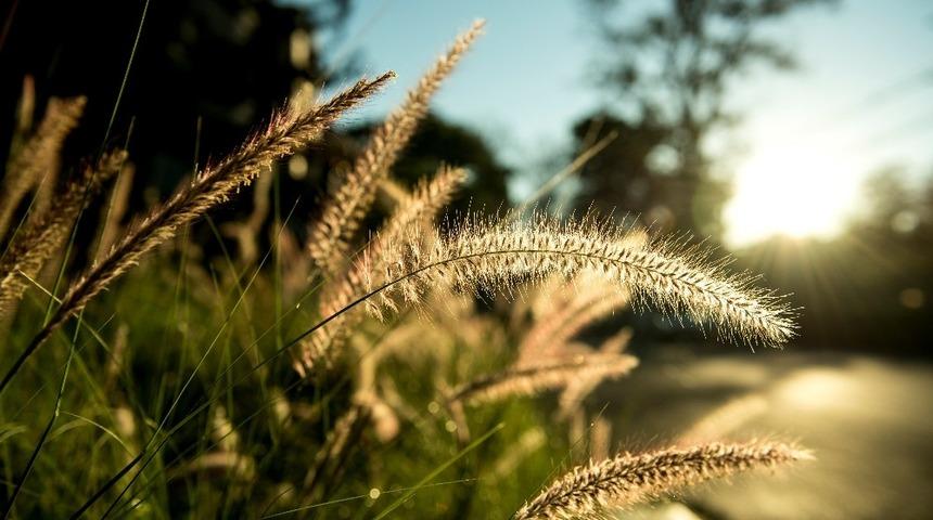 İklim Bilimi Uzmanı Ustaoğlu, cemre d&uuml;şmesi hakkında bilgi verdi