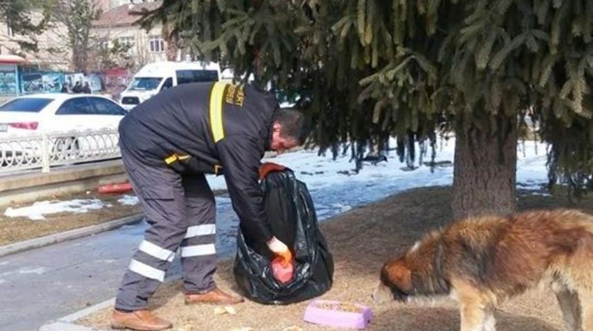 Bayburt &lsquo;ta sokak hayvanları unutulmuyor