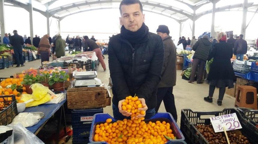 Hisarcık&rsquo;ta şifa deposu Kumkuat meyvesi ilk defa tezgahlarda
