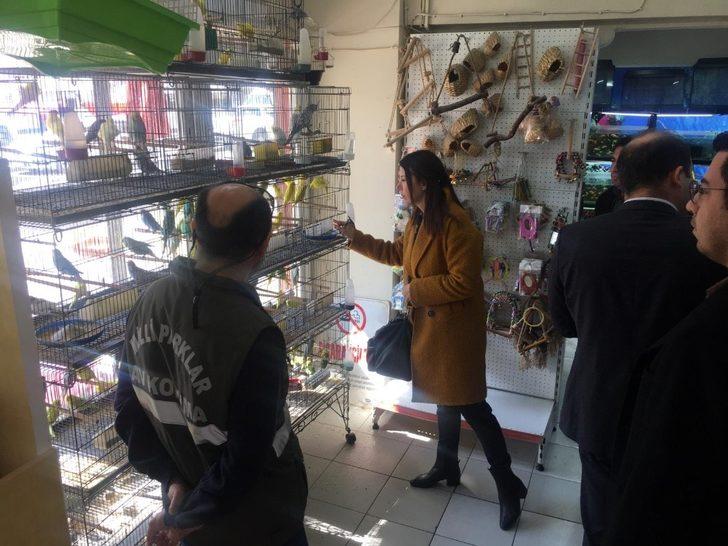 Aydın’da CITES kapsamında kaçakçılık operasyonu gerçekleştirildi G1