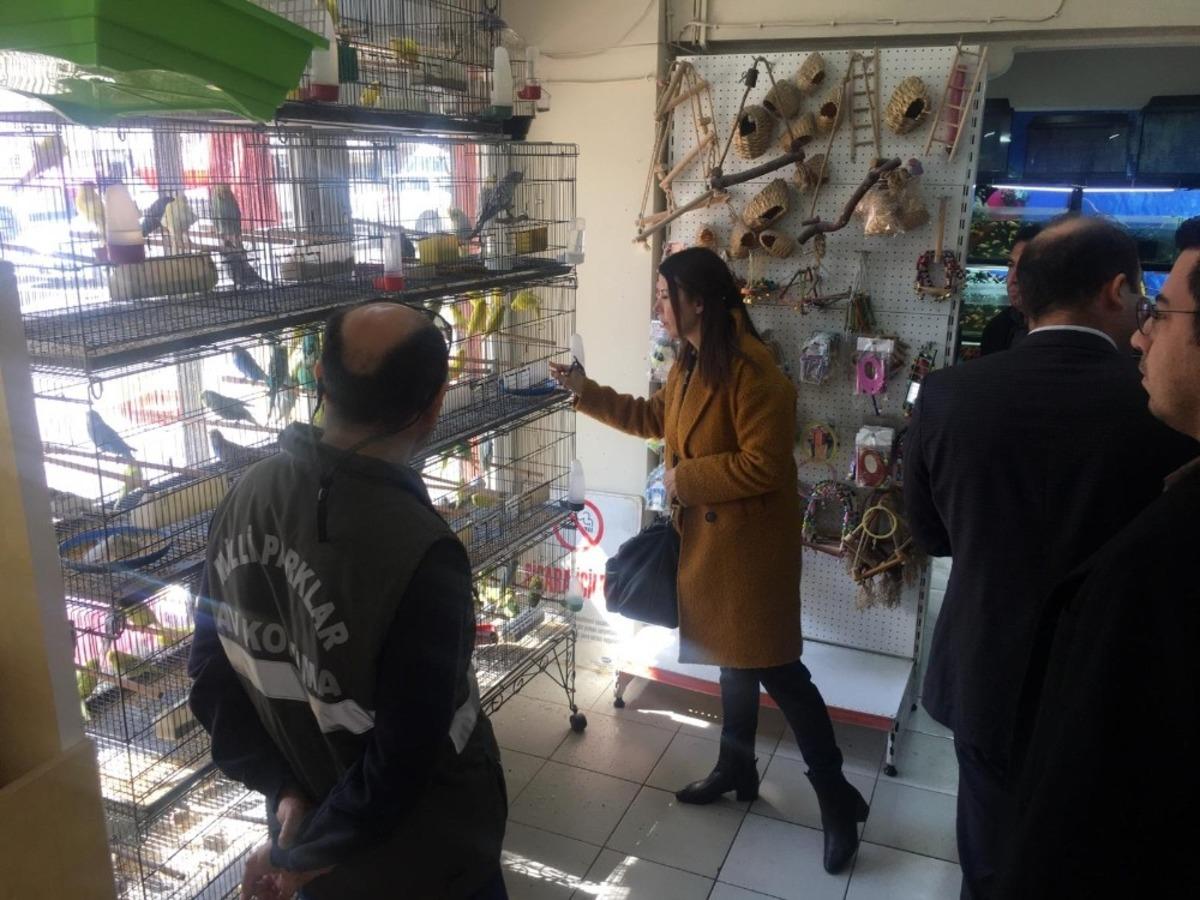Aydın&rsquo;da CITES kapsamında ka&ccedil;ak&ccedil;ılık operasyonu ger&ccedil;ekleştirildi