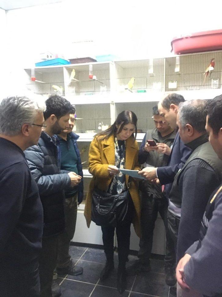 Aydın’da CITES kapsamında kaçakçılık operasyonu gerçekleştirildi G5