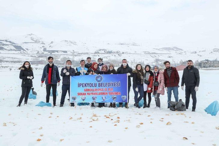 Sokak hayvanları İpekyolu’nda sahipsiz kalmıyor G1