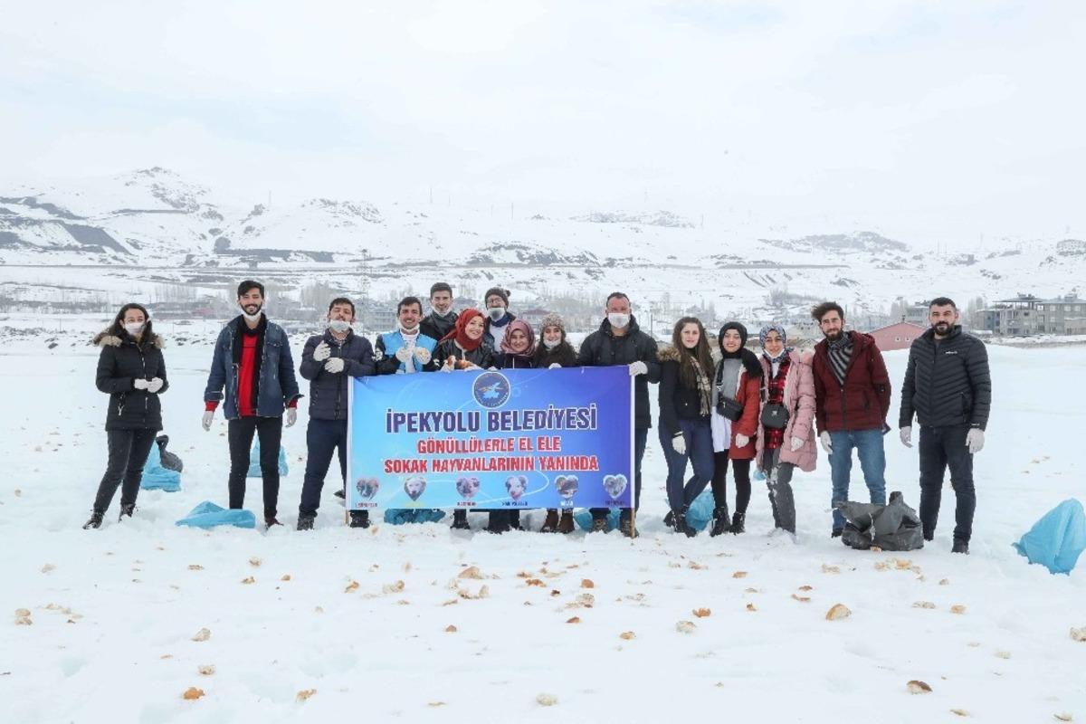 Sokak hayvanları İpekyolu&rsquo;nda sahipsiz kalmıyor