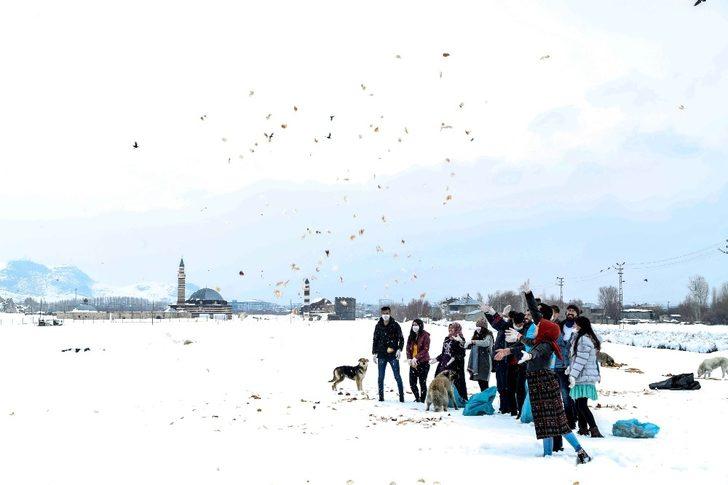 Sokak hayvanları İpekyolu’nda sahipsiz kalmıyor G5