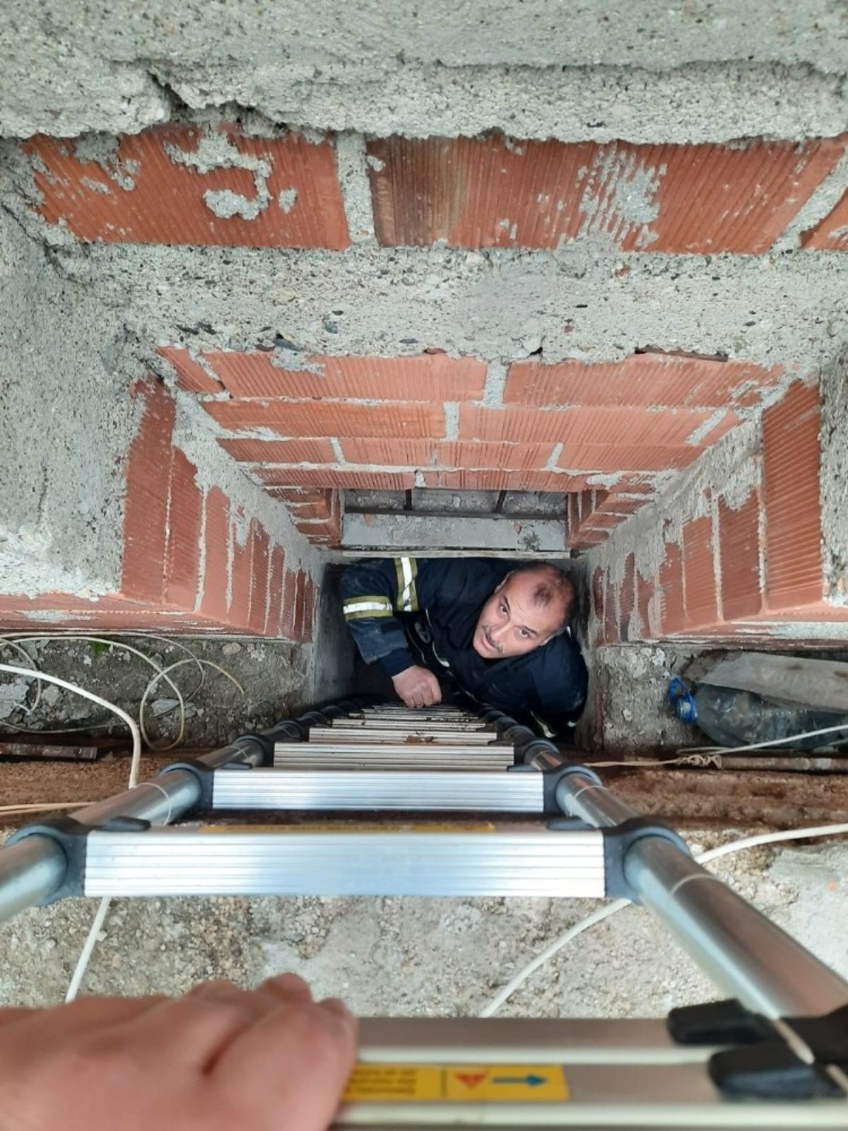 Havalandırma boşluğuna d&uuml;şen yavru g&uuml;vercin kurtarıldı