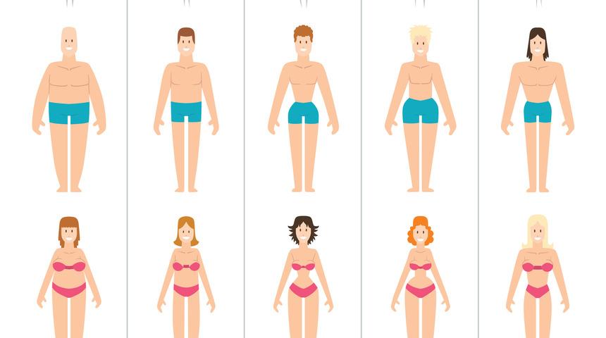 V&uuml;cut tipine g&ouml;re kilo vermenin ipu&ccedil;ları