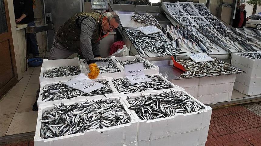 Karadenizli balıkçının gözdesi yine 'hamsi' oldu 