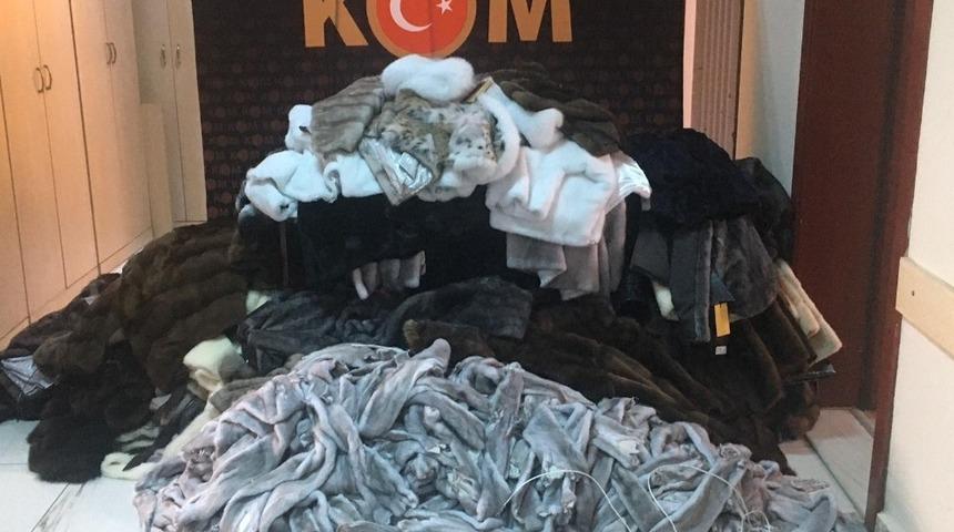 Keşan&rsquo;da ka&ccedil;ak k&uuml;rk ve post operasyonu