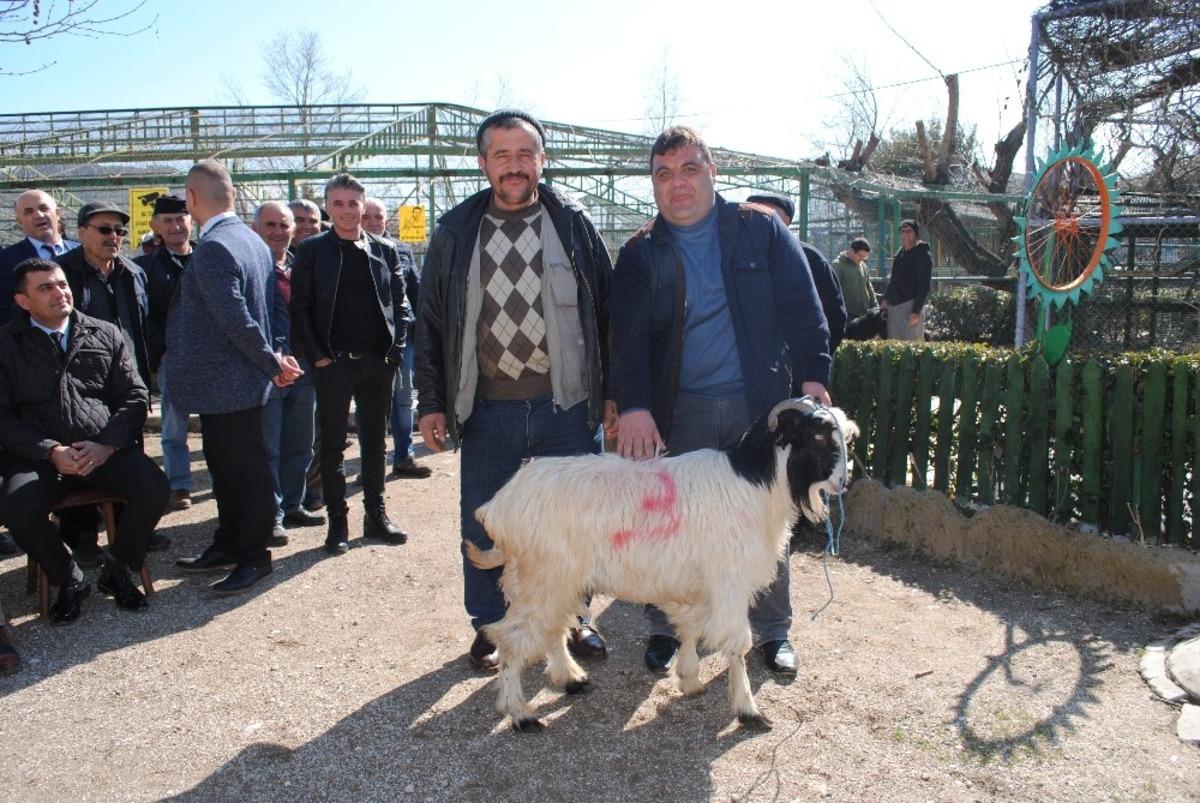 R&uuml;yapark&rsquo;taki ihtiya&ccedil; fazlası hayvanlar satıldı