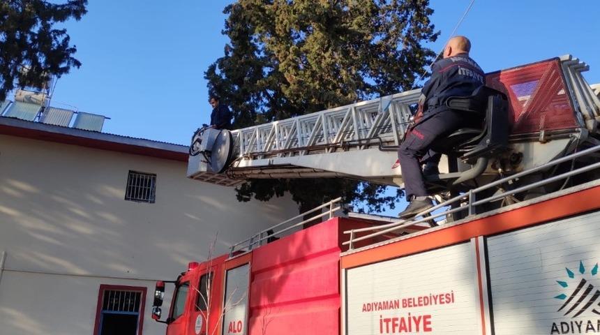 Ağa&ccedil;ta mahsur kalan kediyi itfaiye ekipleri kurtardı