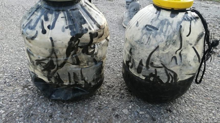 Konya yasadışı sülük avına 73 bin lira para cezası